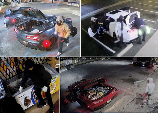 LASD commercial theft