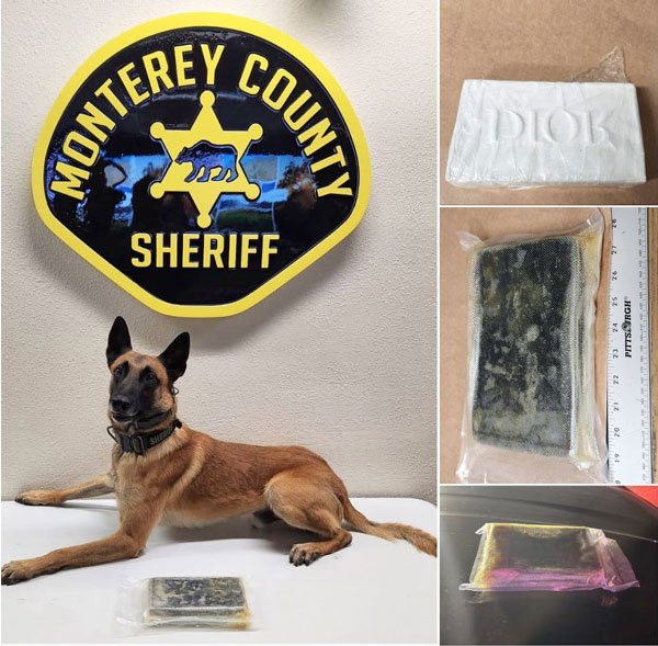 Monterey SO K9