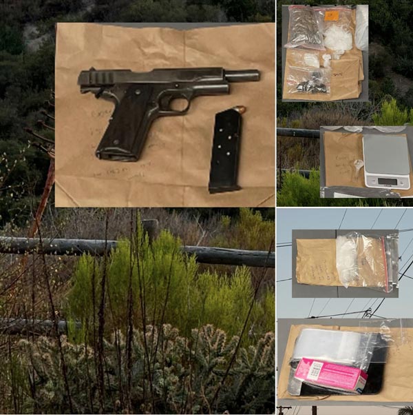 SDPD narcotics