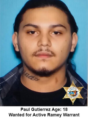 TCSO wanted Gutierrez