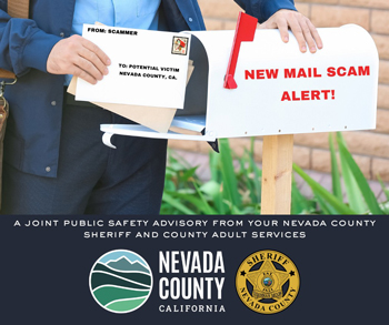 NCSO scam