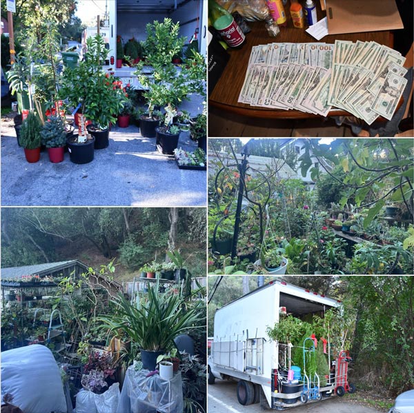 SCSO plants 1