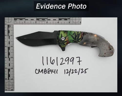 SDSO OIS knife 500
