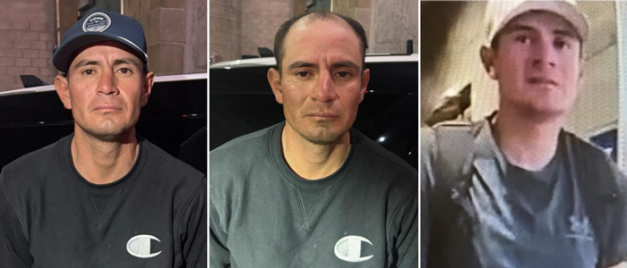 SDSO escaped felon