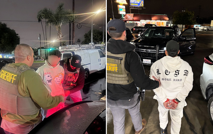 VCSO arrests