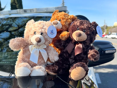 FPD bears