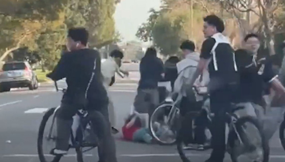 LAPD attack