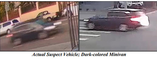 LAPD car
