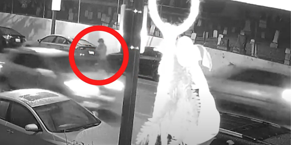 LAPD hit and run Feb
