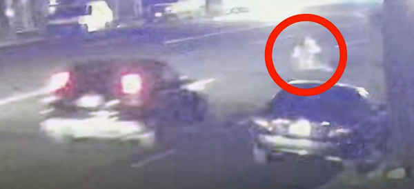 LAPD hit n run ped