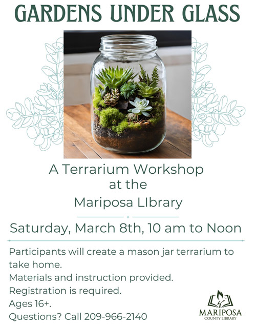 MCL terrarium