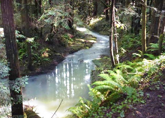 Albion River cdfw