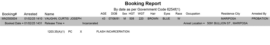 mariposa county booking report for january 2 2025