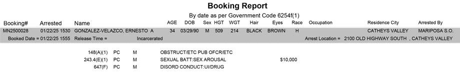 mariposa county booking report for january 22 2025