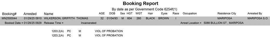 mariposa county booking report for january 29 2025