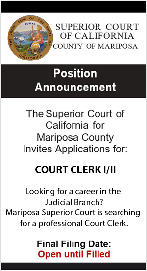 Court job clerk