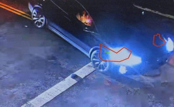 LAPD hit and run