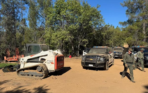 Mariposa SO marijuana bust 12