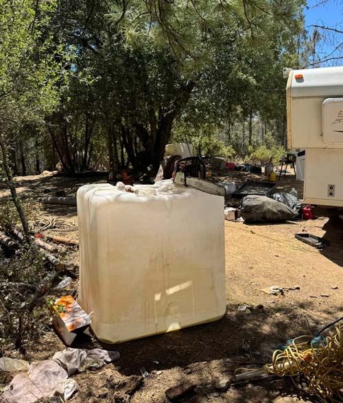 Mariposa SO marijuana bust 4