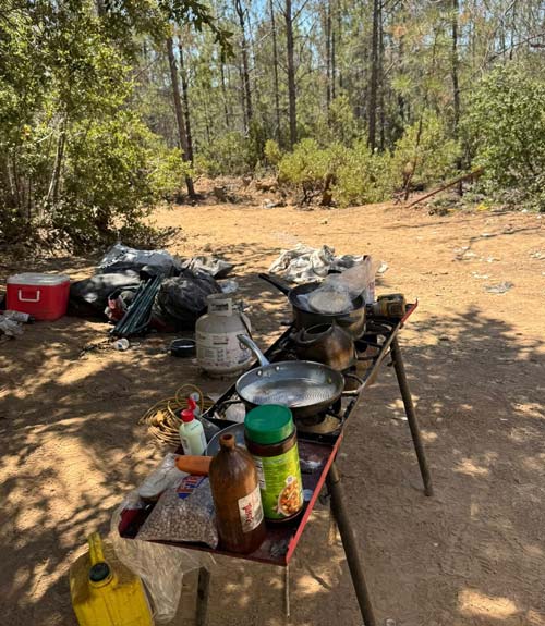 Mariposa SO marijuana bust 5