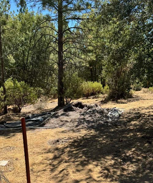 Mariposa SO marijuana bust 6