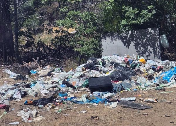 Mariposa SO marijuana bust 9