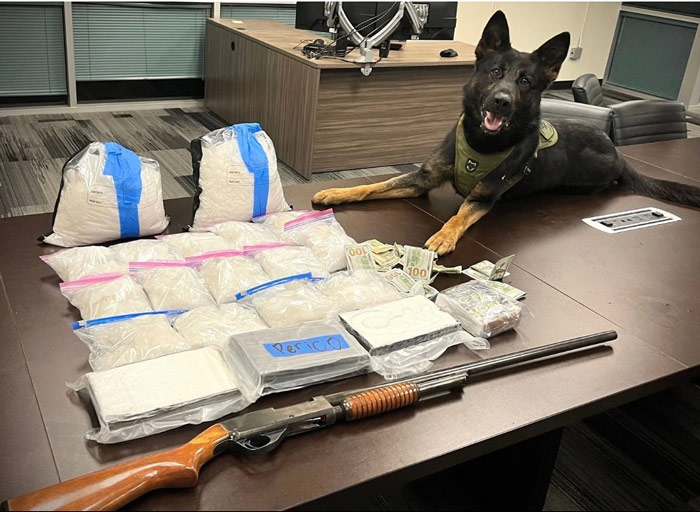 SBSO drugs