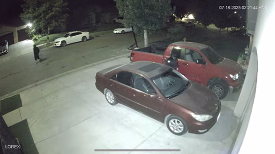 Sutter SO car theft
