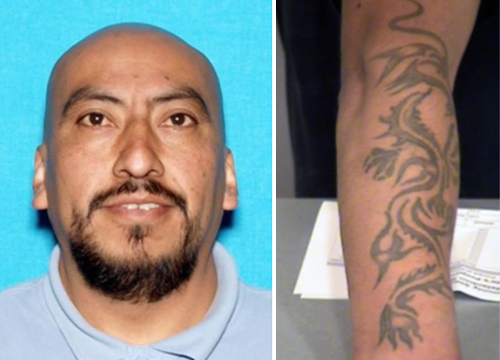 VCSO homicide invest