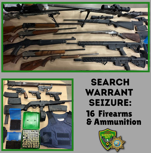 YCSD guns