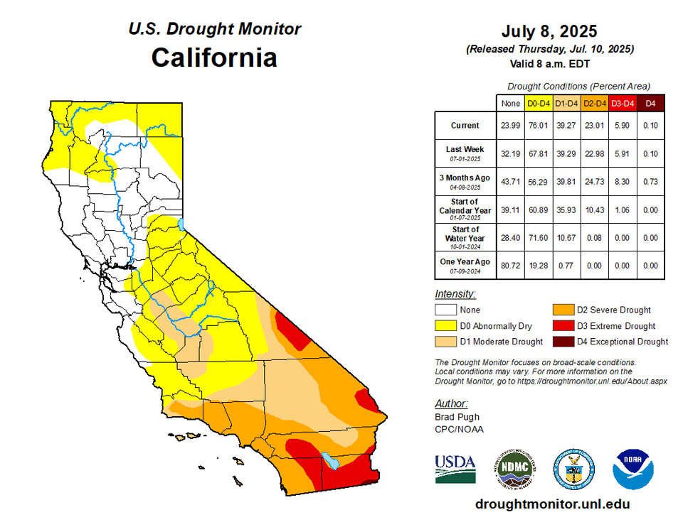 ca20250708 ca trd