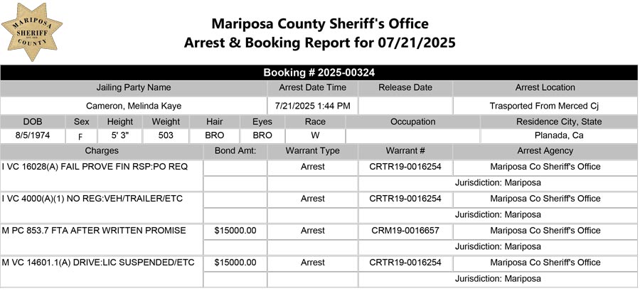 Mariposa County Sheriff Daily Log