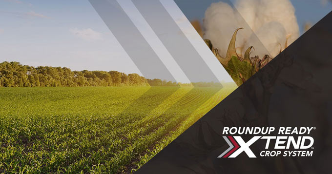 roundup ready xtend680