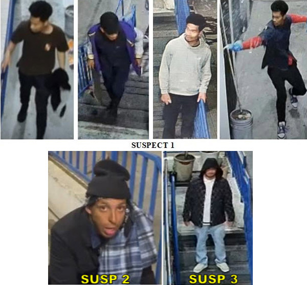 LAPD hate crime suspects