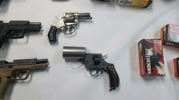 RCSO guns 1