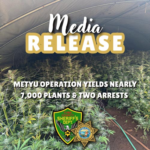 YCSD marijuana