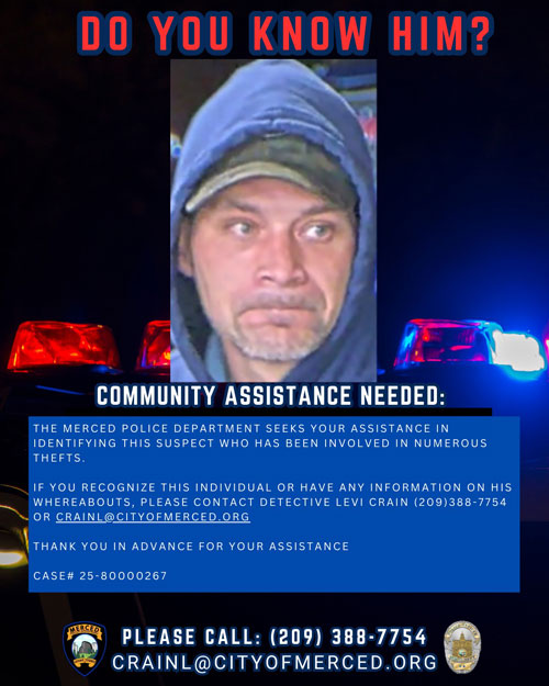 MPD theft suspect