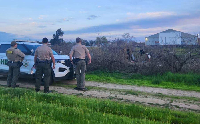 TCSO stabbing