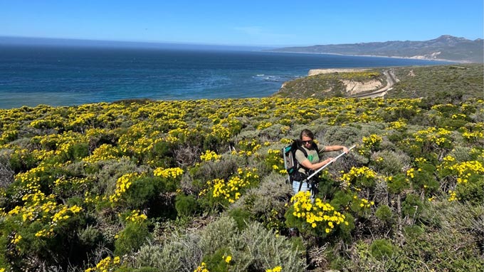 nasa Wildflower Field work
