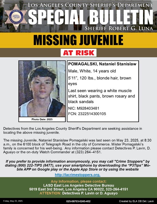 LASD missing Pomagalski
