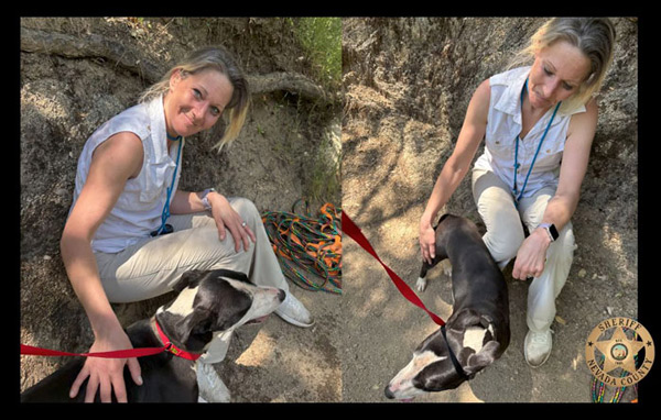 NCSO dog rescue 600