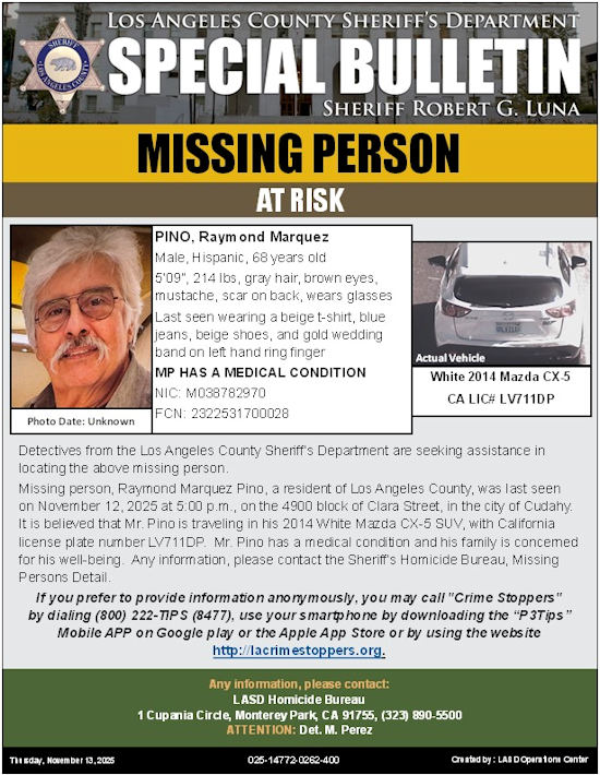 LASD missing Pino