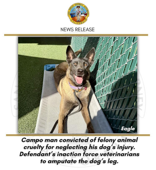 SDDA dog 500