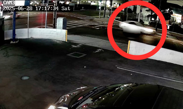 LAPD hit n run