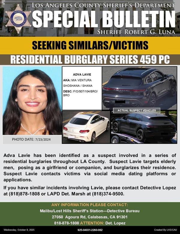 LASD burglary series