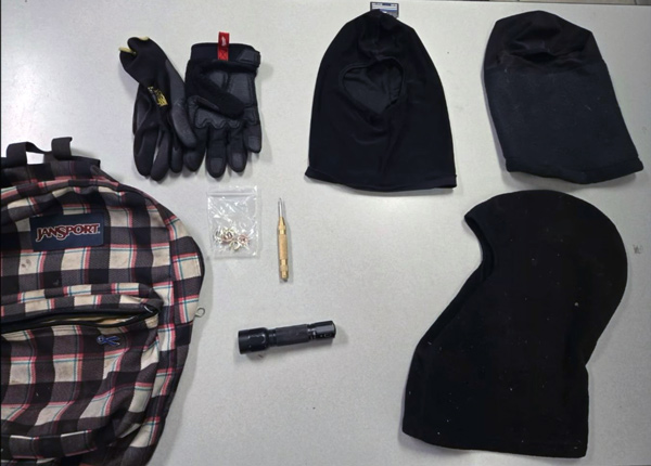 LSS burglary3