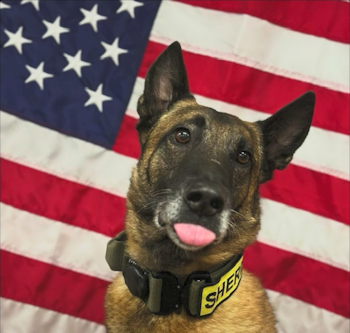 Mariposa SO K9 Tango