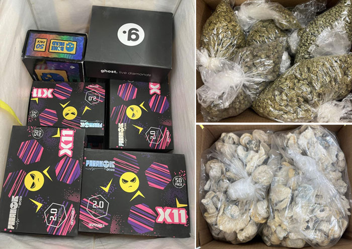 SDSO drugs 1