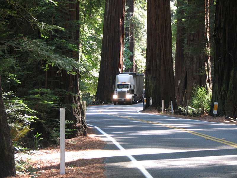 richardson grove improvement project credit caltrans 800