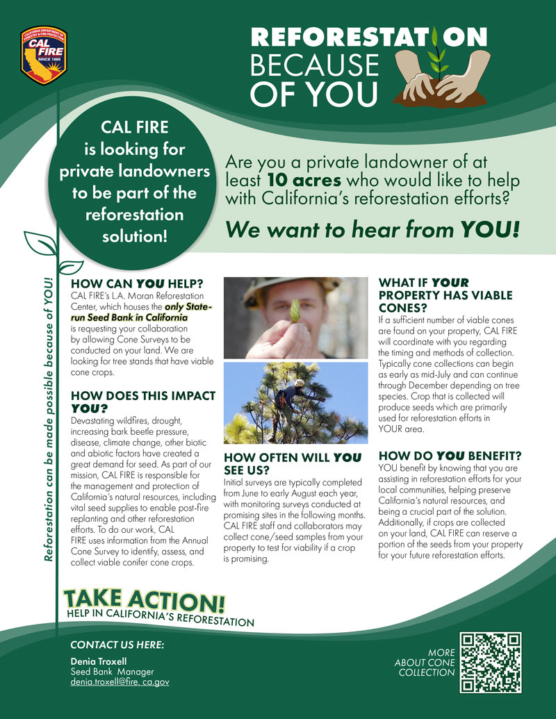 Reforestation Because of You Flyer Reforestation Because of You Flyer